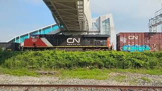 CN M377