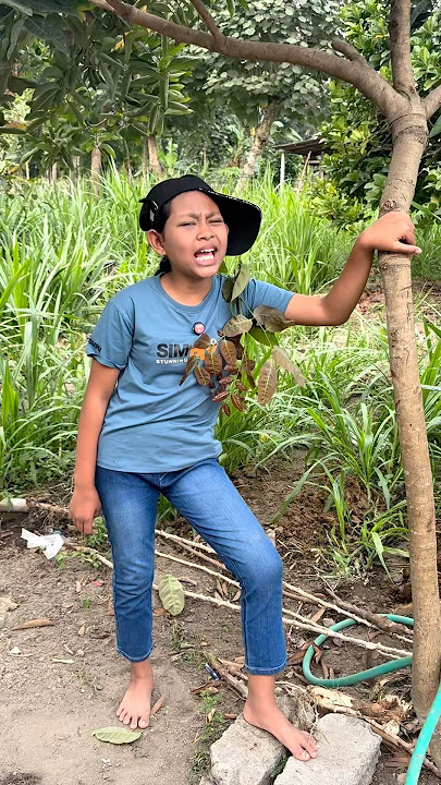 Cupi engga ada bayangannya