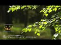 ソレイユ紹介動画