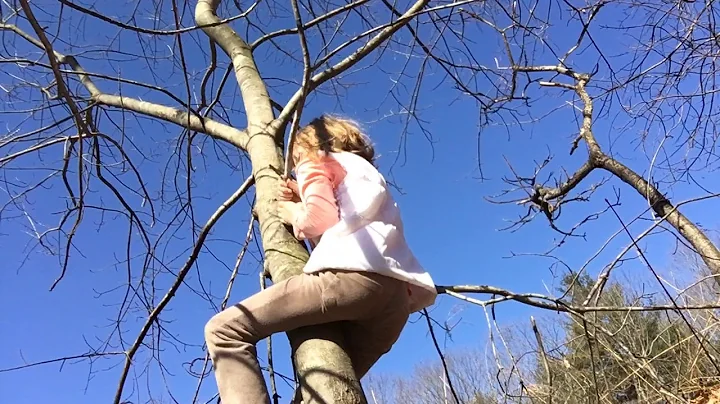 Climbing a tree {Almost fell out}