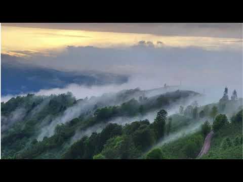 Gözleri Nemli Kadınlar Gördüm