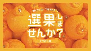 【デコポン編】選果しませんか？
