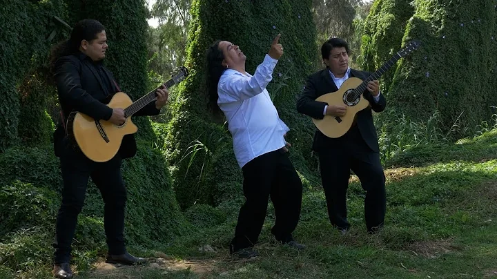 MI DOLOR (Josfferluz Cortez) - Sixto Ayvar & Ronal...