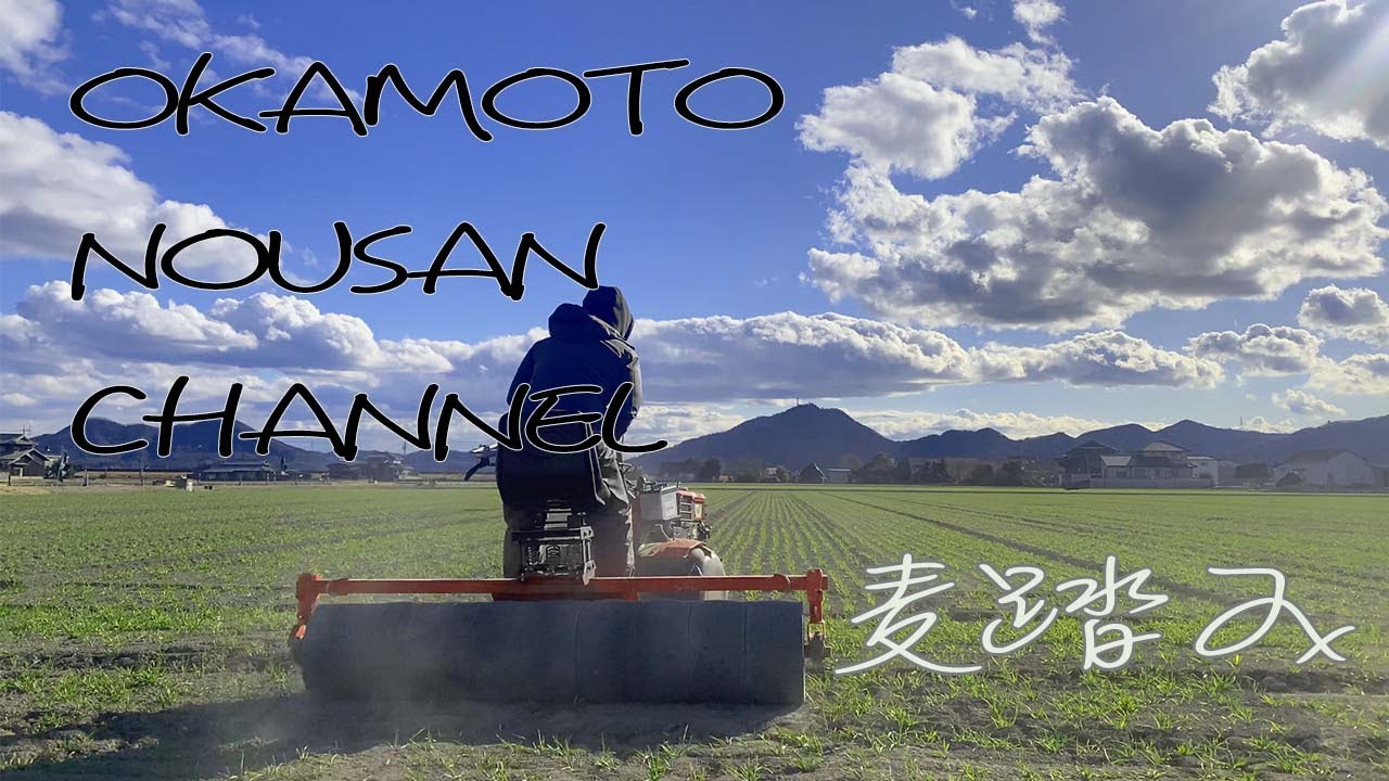 麦踏みライダー ロングバージョンも同時公開してます Shorts 農業 農業機械 Youtube