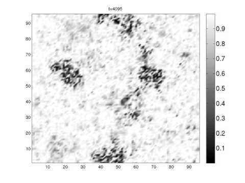 Schlieren Texture in isotropic droplet nucleation for k=1