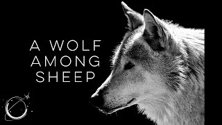 A Wolf Among Sheep  Motivational Video