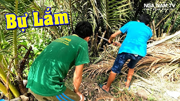 Cao Thủ Câu Cá Lóc Bằng Vịt Con Sự Cố Cười Bể Bụng/NGÃ NĂM TV