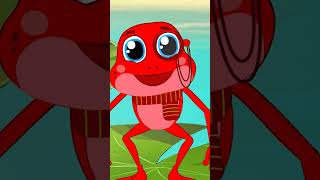 Kırmızı Kurbağa, Kırmızı Kurbağa Kuyruğun Nerede?