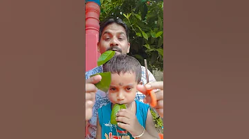 Dad Will Do Everything For His Daughter To Vi Funny Comedy 