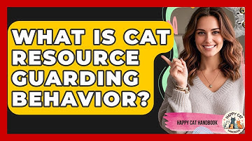 What Is Cat Resource Guarding Behavior? - Happy Cat Handbook