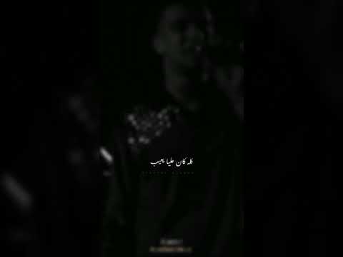 حلات واتس عصام صاصا عشت فيكي يا دنيا طيب