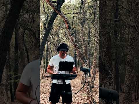 Bright Forest Beats | Open Air Melodic Techno DJ Set
