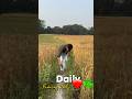 Farming Reels ❤️☘️ #trending #farming #viralshorts #villagelife #khetibadi #kisan #tiktok #instagram