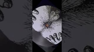 PARANOISE (ANUS 01) B1 @elleestoulateuf