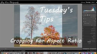 Tuesday's Tips:  Cropping for Aspect Ratio screenshot 3