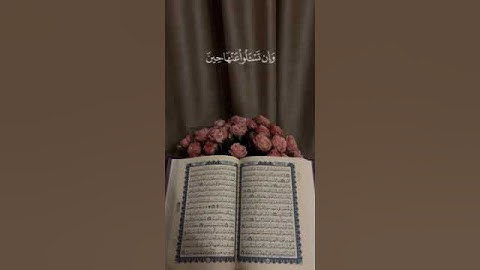 #ماتيسر_من سورة المائدة بصوت القارئ للشيخ فارس عباد قناة القرآن الكريم الرسمية