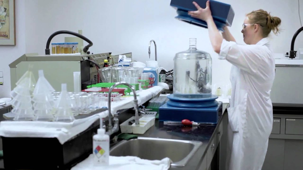 Budweiser: Jets Fan Brew, Pride of Winnipeg