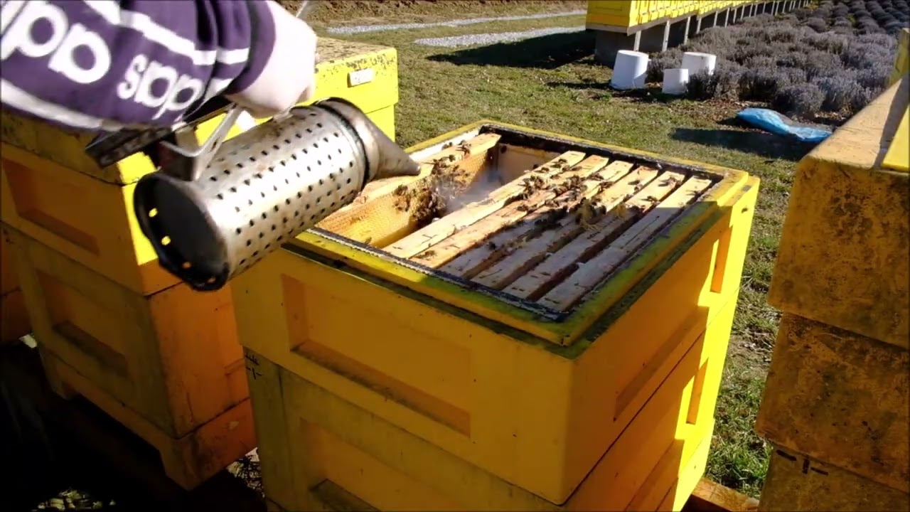 Rotace nástavků. 2.3.2026