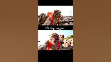 ai monkey vlog #monkeyvlogs #ai #explore #youtube #shots #viral #viralvideo #viralshorts #ramsetu