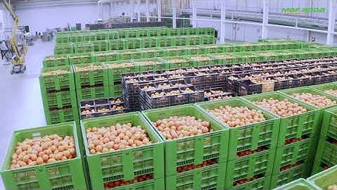 FRUTINTER (SPAIN) - AGVs