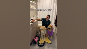 My dogs hacked my autocorrect!