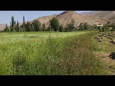 قریه زیبای از ولسوالی ورس هزاره نشین 