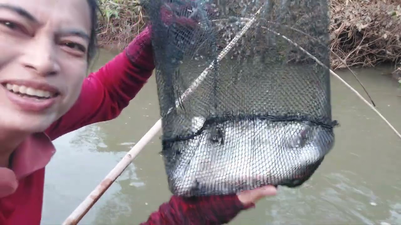 @ยกยอ#ปลาตัวงามๆม่วนๆจ้าว😁#By..จ้าวป้า.Ep.325