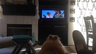 Bella B Watches Movie