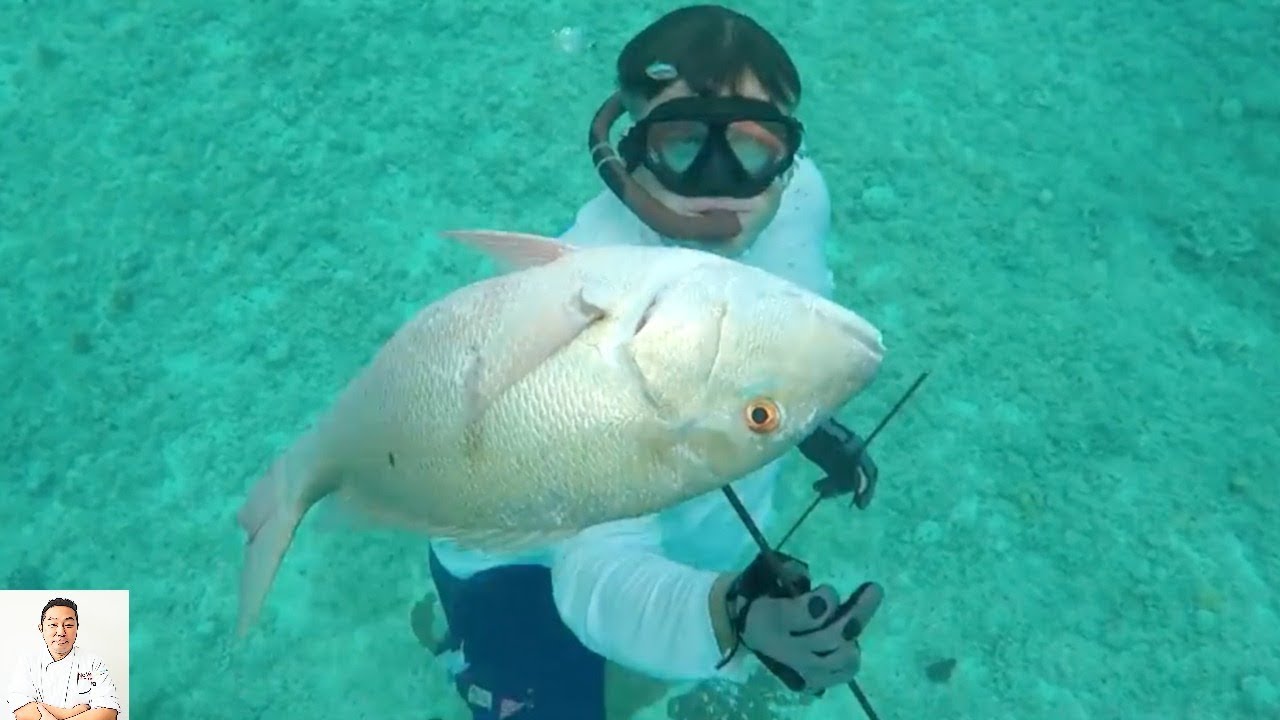 Fresh Snapper Sashimi Catch, Clean & Sushi! YouTube