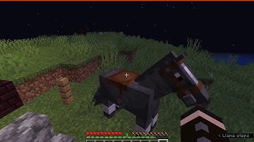 Stupid Horse Stand Still 1.12.2, 1.14.4 & 1.15.1 Forge Mod Overview