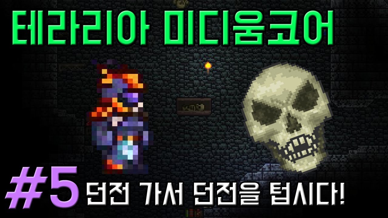 [테라리아 공략] 미디움코어 일반 솔로 5 던전을 텁시다! /Terraria mediumcore YouTube