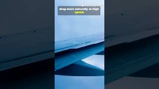 Why the Boeing 777 skips winglets ✈️🪽 #AviationFacts #silverframesofficial