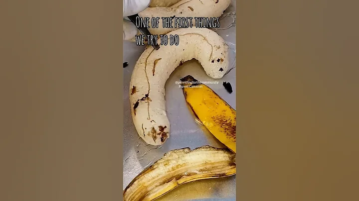 lab Banana part 2of3