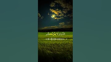قران كريم #اكسبلور #رمضان  #سيد_كاجو #قران_كريم #fyp #funny. #ياسر_الدوسري #فهد_البطل #حكيم_باشا