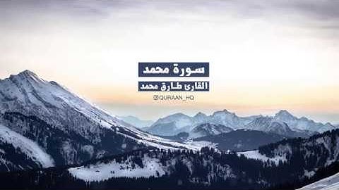 سورة محمد بصوت القارئ طارق محمد   تلاوة خاشعة   YouTube