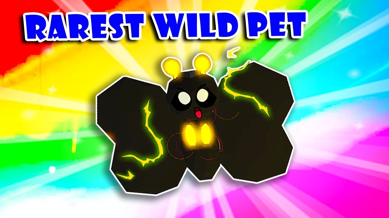 How To Find Wild Pets In Pet Trainer Roblox - i evolved the rarest pet in ninja legends so op roblox youtube