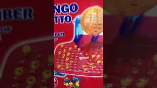 Bingo Lotto Satisfying