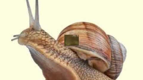 An Introduction to Mass Wasting