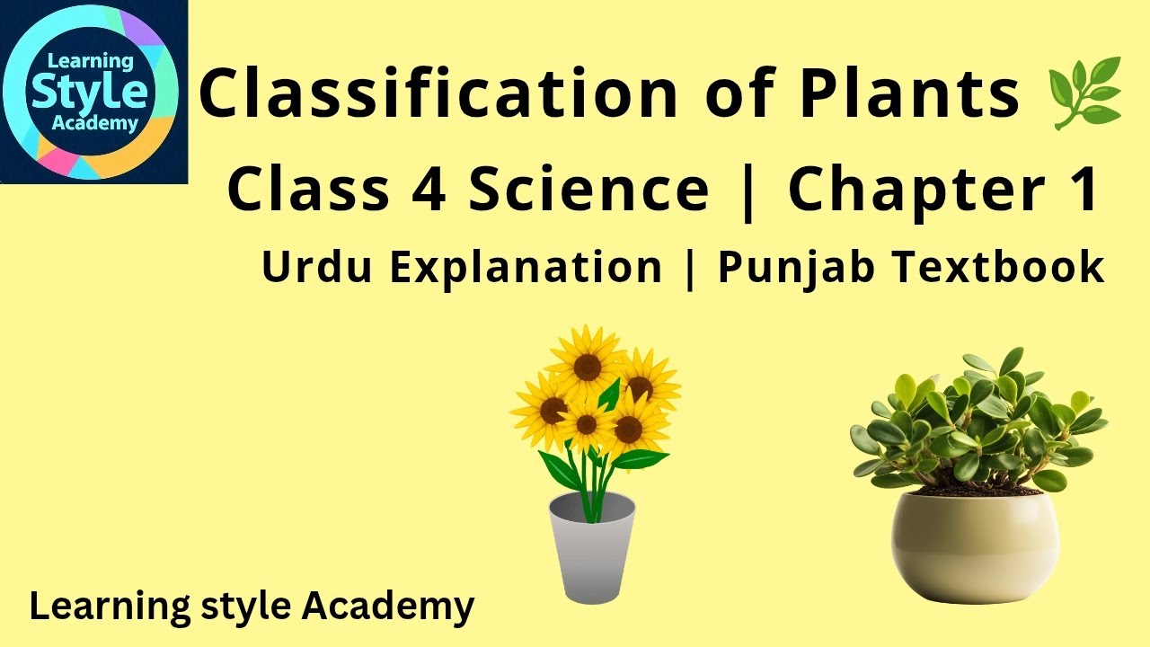 Classification of Plants 🌿 | Class 4 Science | Chapter 1 | Urdu ...