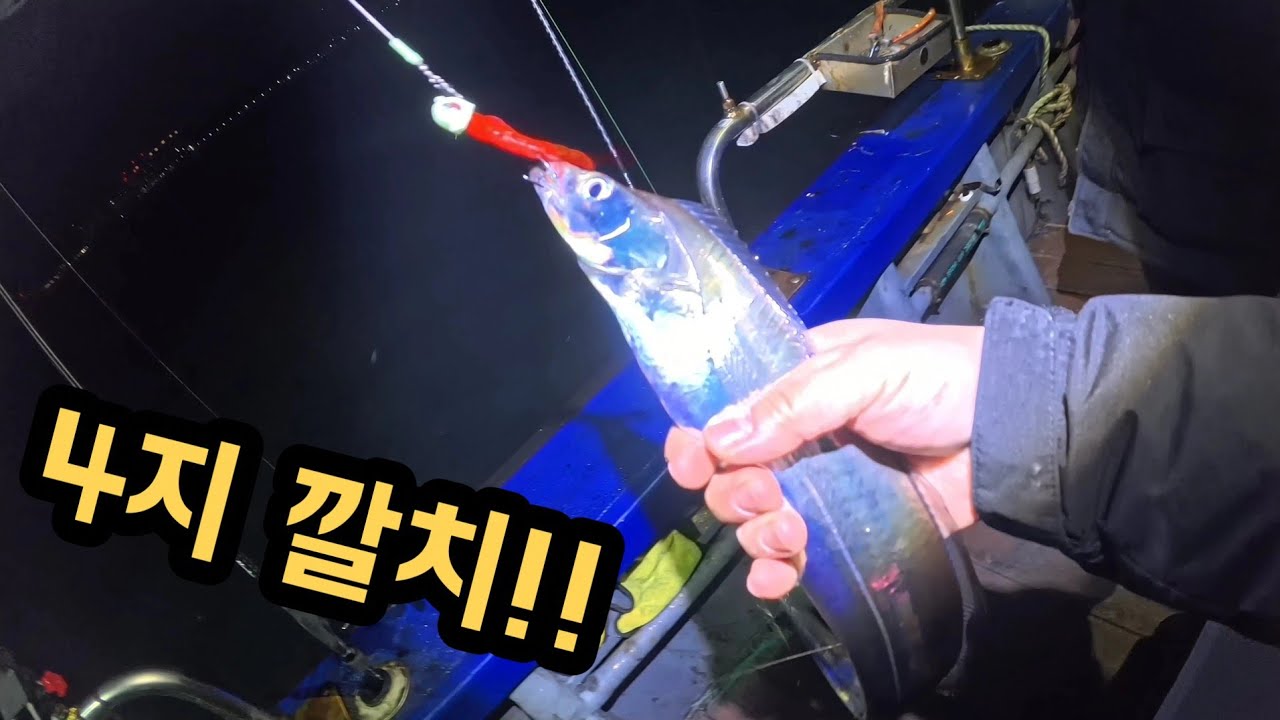 [여수 내만 선상 갈치낚시] 4지 갈치! 배 위는 완전 아수라장!