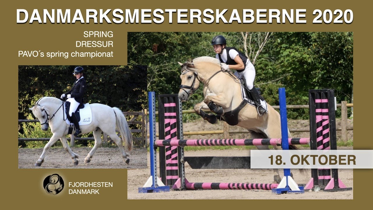 DM 2020- FJORDHESTE - Spring - Dressur - PAVO´s spring championat - dag 3