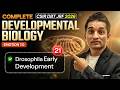 Drosophila Early Development | Developmental Biology | CSIR DBT JRF 2026  | IFAS