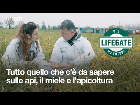 Video: Che cosa sono gli acari: scopri il controllo degli acari per le api mellifere