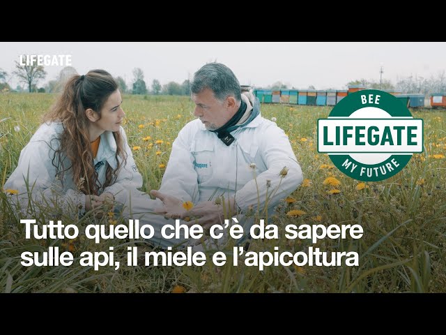 Maggiore — Maggiore: noleggio auto e tutela delle api con Bee My Future — anteprima video su YouTube
