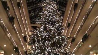 Download Lagu UB40 UBTV..The Christmas Tree..... MP3 Download Lagu UB40 UBTV..The Christmas Tree..... MP3