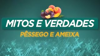 Mitos e Verdades sobre o pêssego e a ameixa - Dr. Marcelo Lima