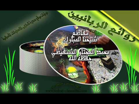 هل تجب زكاة الإبل والغنم في غير السائمة الشيخ الشنقيطي