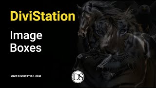 Image Boxes - DiviStation