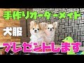 【犬服プレゼント】我が子にピッタリサイズの服をオーダー出来る権利プレゼントします！