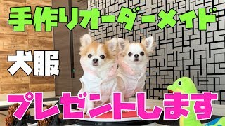 【犬服プレゼント】我が子にピッタリサイズの服をオーダー出来る権利プレゼントします！